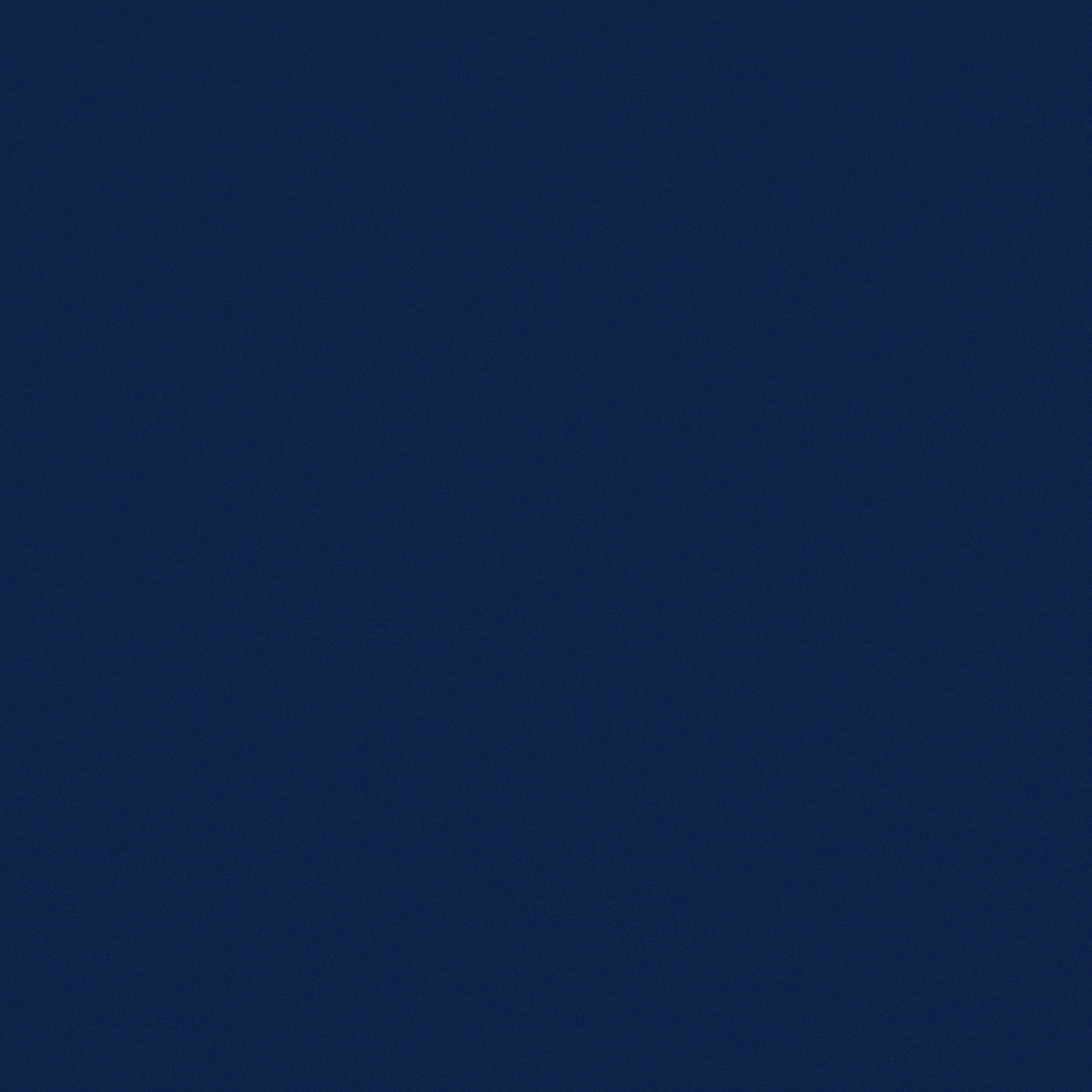 Motion Graphic video preview